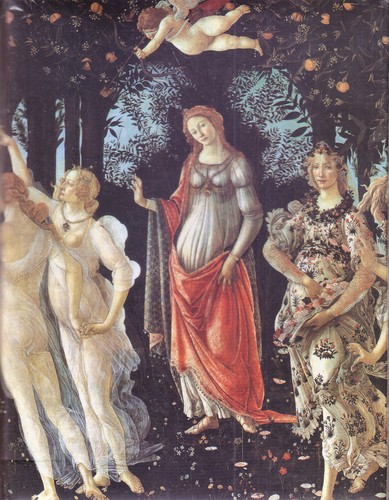 Primavera sandro - primavera, di